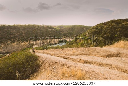 Photographer with backpack on his back down a dirt road to the river with the cloudy sky in the background