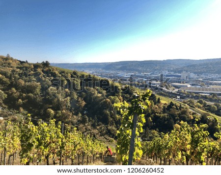 view over the vineyards to river Neckar and the industrial areas around Stuttgart
