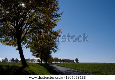Ponitz / Germany: Winding country road in Eastern Thuringia on a sunny day in October