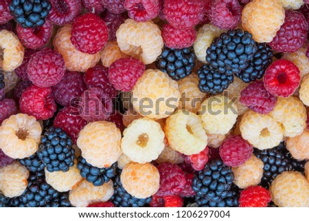 raspberry and blackberry close-up top view