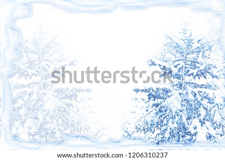  winter woods. Winter landscape. Snow covered trees