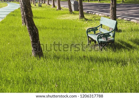 Old wooden green bench on the green grass field in the park with warm morning sun light.