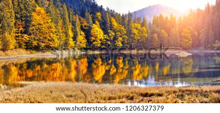 The Mountain lake. Dramatic and picturesque scene. Popular tourist attraction. Europe. Artistic picture. Beauty world