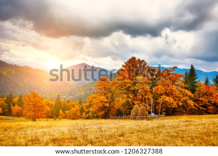 The Mountain autumn landscape with colorful forestDramatic and picturesque scene. Popular tourist attraction. Europe. Artistic picture. Beauty world