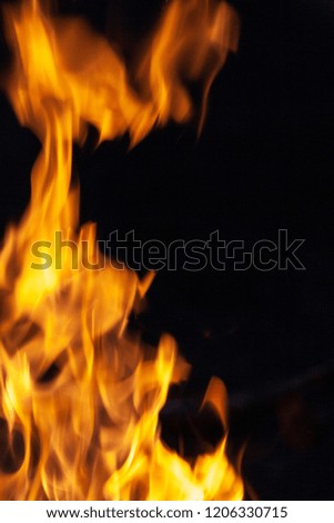 Fire, flames on a black background. Fire for advertising.