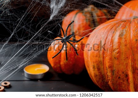Halloween decorations,pumpkins, spider and cobweb on black background, autumn holidays concept, copy space, top view, flat lay, 

