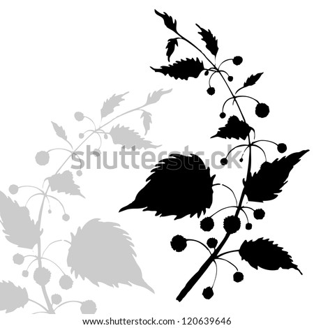Vector illustration with decorative flower