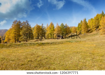 autumn nature landscape in tirol austria