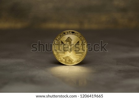  golden monero stand on background from decorative plaster