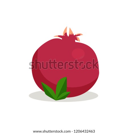 Pomegranate vector illustration in flat cartoon style, red food illustration