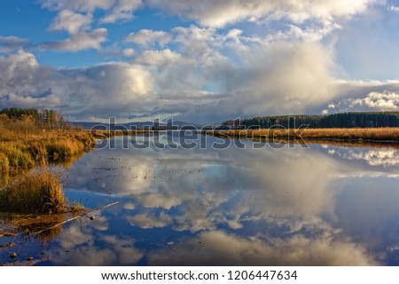 Beautiful autumn forest with colorful trees and pacturesque sky reflected in the water. Autumn nature landscape.