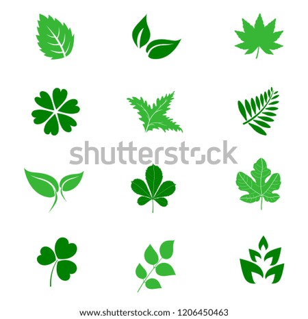 Set of green leaves design elements.Isolated leaves shapes on white background.Elements for eco and bio logos.Vector illustration