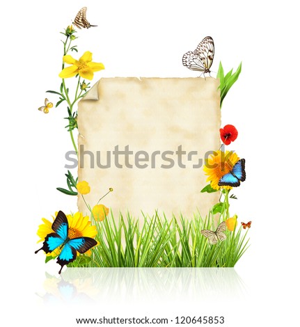 Concept of spring with blank paper for text. isolated on white background