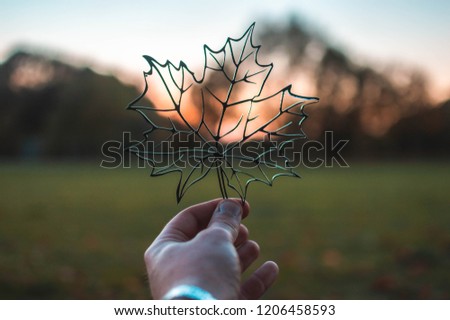 Picture of a leaf in autumn backgroud