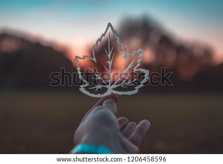 Picture of a leaf in autumn backgroud