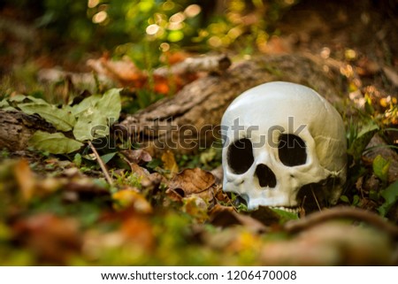 Scary jawless Halloween skull in Autumn fallen leaves