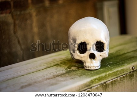 Scary jawless Halloween skull with textured street background 