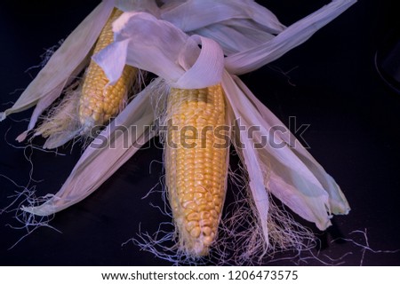 sweet sugar corn