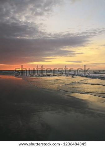 Sunset reflected on wet beach sand with incoming ocean waves and seagulls. A beached foreground log adds interest.