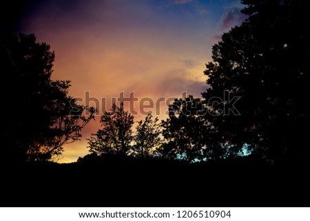 Silhouette of tees with vivid sky features sunset colors background.