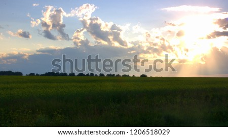 The field of meadow grass at sunset, the sun breaks its rays through the clouds. The picture was taken on a summer day, with natural light.
