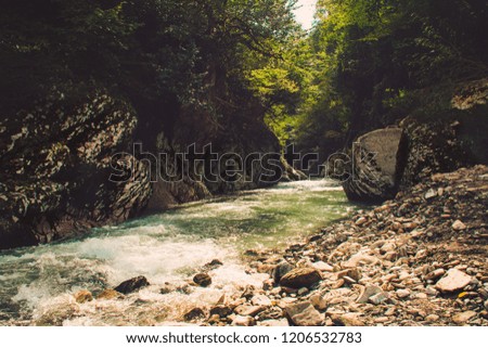 Mountain forest river and rocks