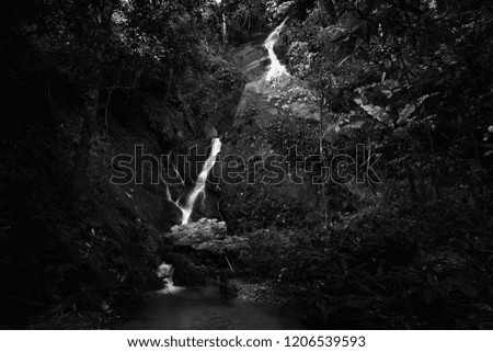 Landscape photography of the waterfall in black and white colour in northern Thailand.