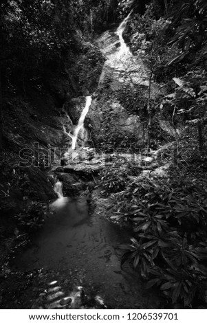 Landscape photography of the waterfall in black and white colour in northern Thailand.