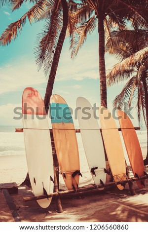 Surfboard and palm tree on beach background. Travel adventure sport and summer vacation concept. Vintage tone filter effect color style.