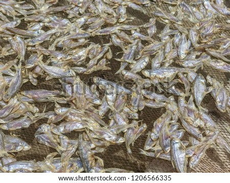 local small fish in local Southern of thailand