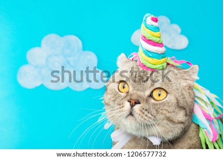 Cute cat unicorn with clouds on a blue background with clouds. The concept of fairy tales, fashion, funny and sweet cats, love and holiday. With empty space