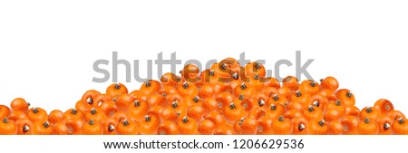 pumpkins on the white background