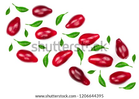 Red berries of cornel or dogwood decorated with green leaves isolated on white background with copy space for your text. Top view. Flat lay