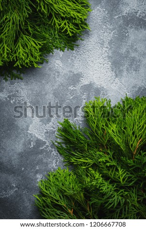 Christmas background thuja branchon light concrete old background table. Selective focus. Top view with copy space.