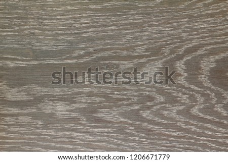 wood texture. Abstract background, empty template