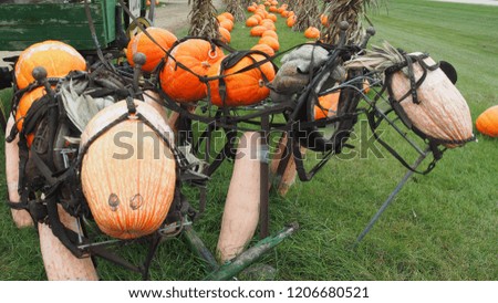 halloween horses made of pumpkins    