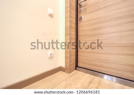 wooden door in the apartment corridor. Grand design - wooden door, main entrance