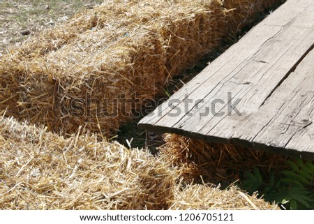 sheaf of hay on the farm