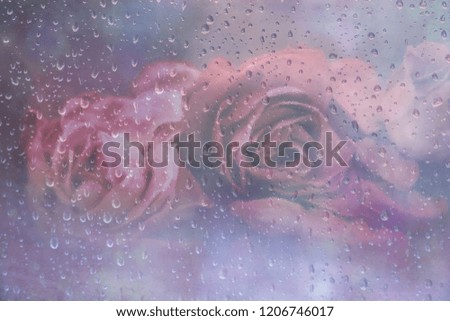 a bouquet of roses outside the window with raindrops
