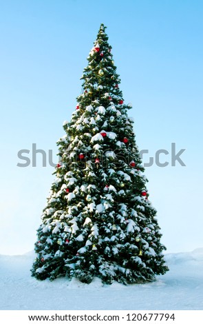 Big Christmas tree on snow, background of blue sky Royalty-Free Stock Photo #120677794