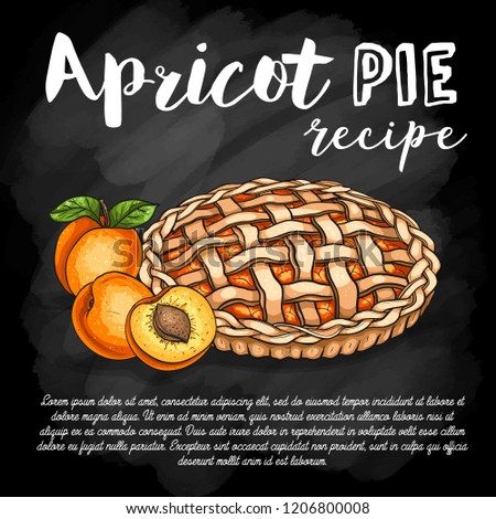 Vector color sketch apricot pie recipe, line art, hand drawn illustration on a chalkboard