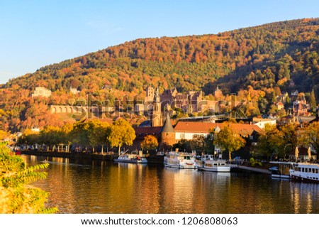 Heidelberg in autumn. River Neckar with boats, Baden-Wurttemberg, Germany. Medieval Heidelberg is beautiful town of Germany. Side view of Heidelberger Schloss with yellow forest from Neckar river