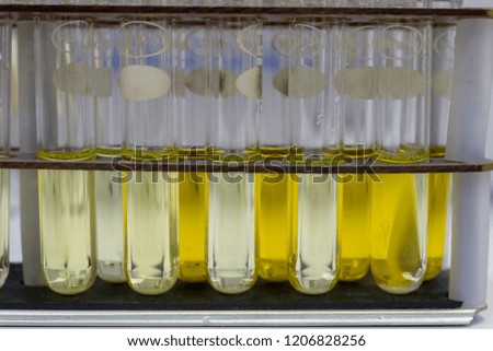 Yellow test tubes close up with liquids