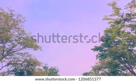 Nature concept with trees at the side, evening time and middle space. In Asian color scheme Suitable for banner, website and application. Abstract concept.