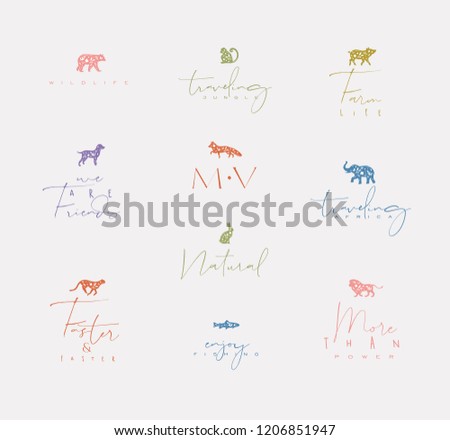 Set of animals mini floral graphic signs bear, fish, monkey, fox, pig, dog, rabbit, elephant, cheetah, lion with lettering drawing with color on dirty background