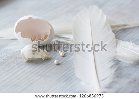 bird feathers, egg shells and pearl on wooden background