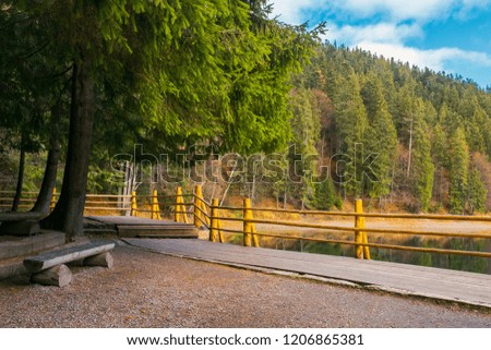 bench on the wooden pier of Synevyr lake in autumn. wonderful nature scenery in good weather