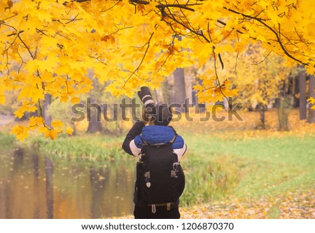 Back view of Young photographer takes pictures of autumn forest in the park background