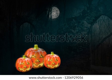 Halloween pumpkin with dark background. There is trees and the moonlight.