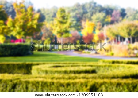 sunny day in park blurred background, holiday concept